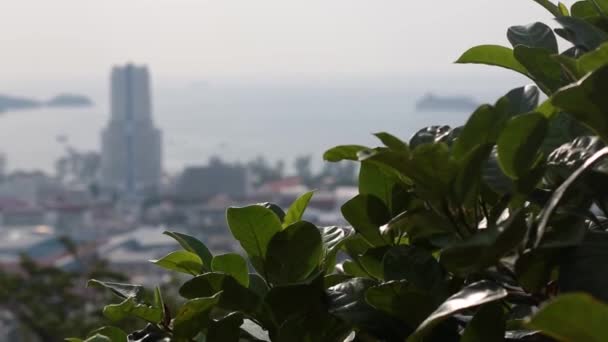 Utsikt över Asian City, hus och hotell, en smidig övergång av fokus, från växterna till staden i dalen — Stockvideo