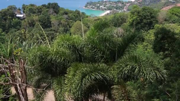 Landschap op het tropische eiland Phuket, Thailand omhoog verplaatsen — Stockvideo