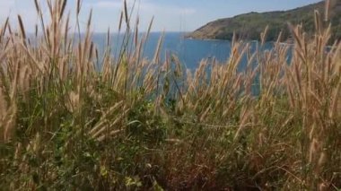 Tropik adada Deniz manzara Phuket, Tayland Yukarı taşıyın