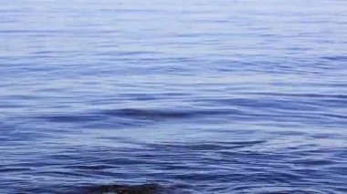 göldeki küçük dalgalar bir noktadan farklı yönlerde