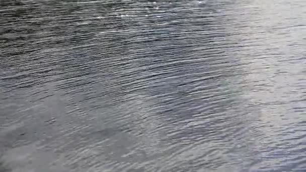 The movement of gray water diagonally looks like mica — Stock Video