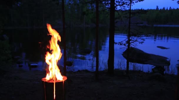 夕方の湖の近くにスウェーデンやフィンランドのログキャンドル。夜に木製の丸太の中から燃える火. — ストック動画