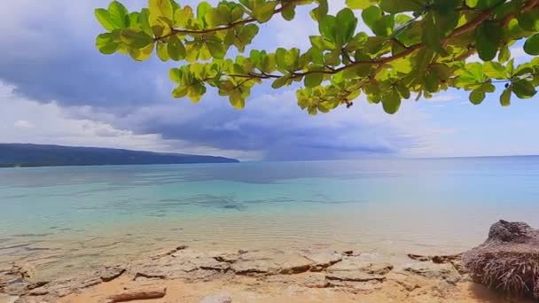 Träd över tropisk lagun med vild strand — Stockvideo