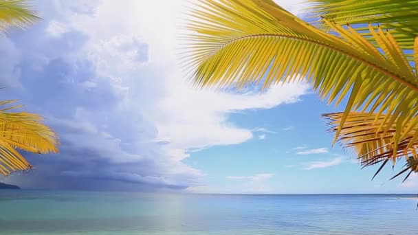 Palmiye ağaçlarının üzerinde vahşi plajlı tropik bir göl manzarası. — Stok video