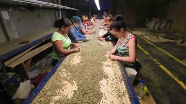 2015, Monte Alto coffee Factory, Dominicaanse Republiek — Stockvideo
