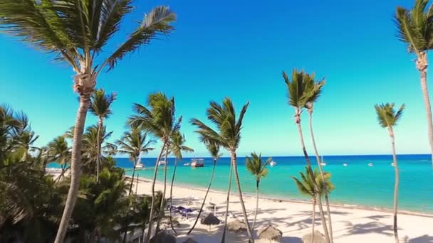 Panorama de la playa del Caribe, mar turquesa, palmeras y sombrillas cubiertas de paja — Vídeos de Stock