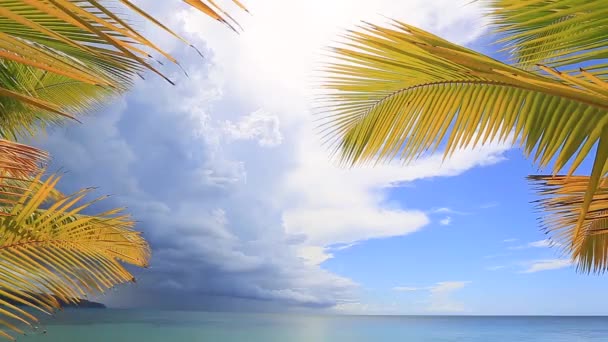 Feuilles de palmier encadrent la vue sur le lagon bleu . — Video