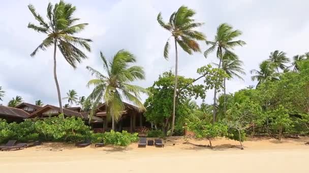 Palmer, trähus och solstolar. Arbetare med kärra städar stranden. Las Terrenas, Dominikanska republiken, 2017 — Stockvideo