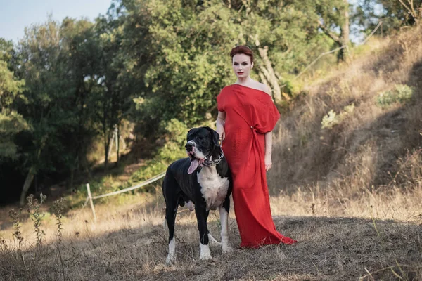 Red-haired girl in red dress walks with a big great dane Royalty Free Stock Photos