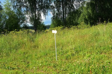 Güzel yaz alan manzara