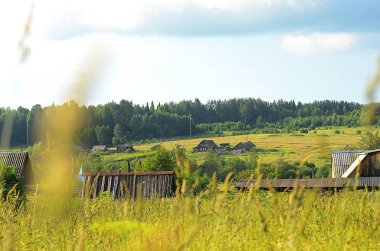 Güzel yaz alan manzara