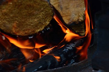 Güzel yaz alan manzara