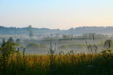 Güzel yaz alan manzara