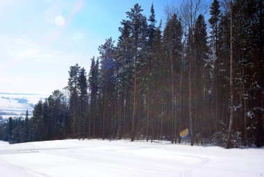 Ormanda güzel kış