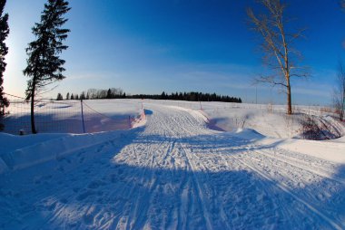 Ormanda güzel kış