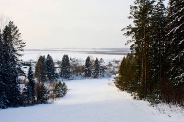 Ormanda güzel kış