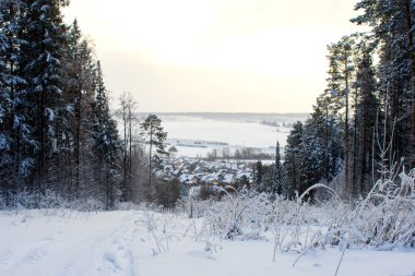 Ormanda güzel kış
