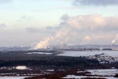 Ormanda güzel kış