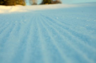 Ormanda güzel kış