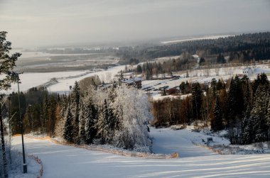 Ormanda güzel kış