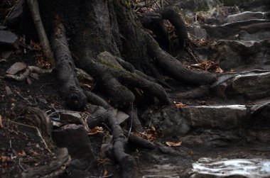 güzel kış dağ doğa