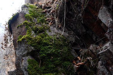 güzel kış dağ doğa
