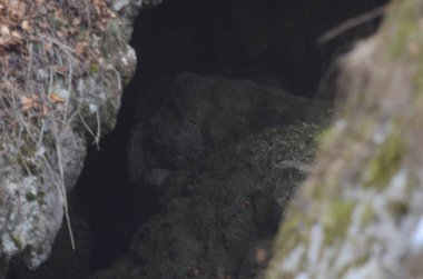 güzel kış dağ doğa