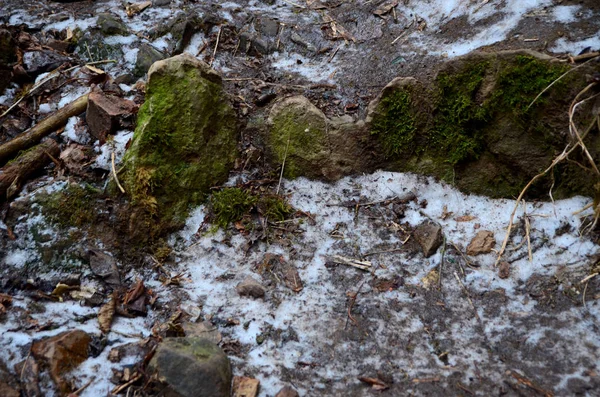 Beautiful Winter Mountain Nature — Stock Photo, Image