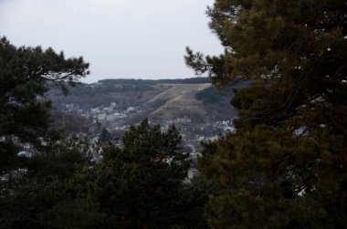 Güzel kış dağ manzarası