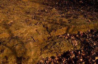 Güzel kış dağ manzarası