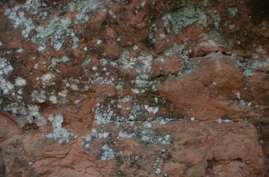 Güzel kış dağ manzarası