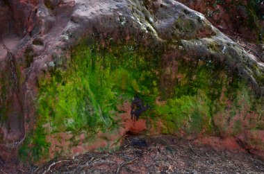 Güzel kış dağ manzarası