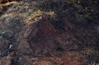 Güzel kış dağ manzarası