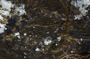 Güzel kış dağ manzarası