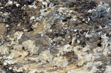 Güzel kış dağ manzarası