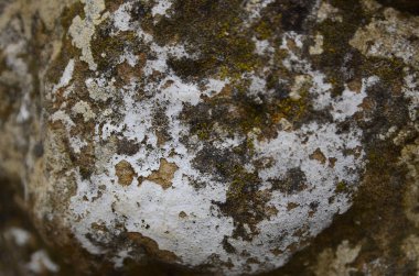 Güzel kış dağ manzarası