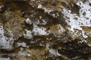 Güzel kış dağ manzarası