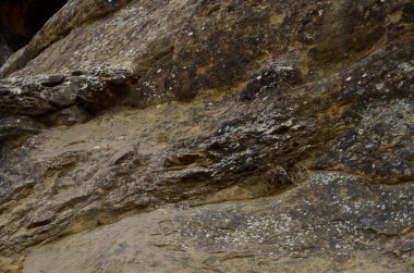 Güzel kış dağ manzarası