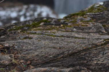 Güzel kış dağ manzarası