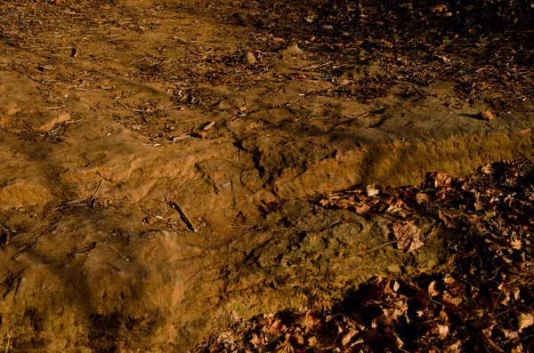 Güzel kış dağ manzarası