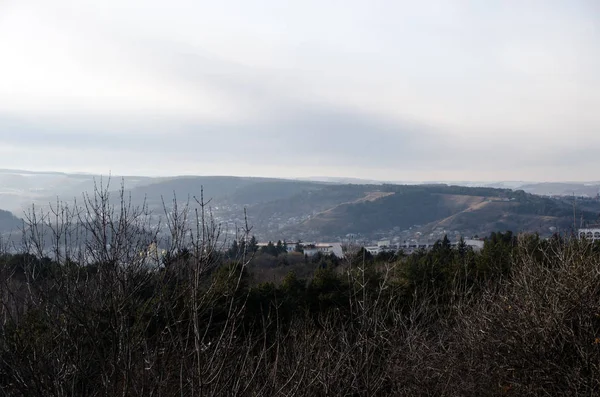 Bela Vegetação Montanha Inverno — Fotografia de Stock