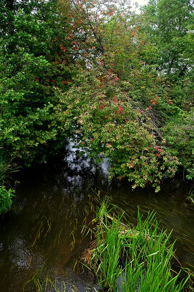 Hermoso Paisaje Acuático Del Río — Foto de Stock