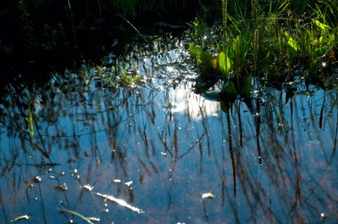 nehrin güzel su manzara