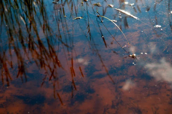 Pemandangan Air Yang Indah Sungai — Stok Foto