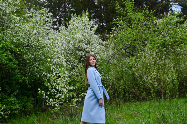 beautiful girl in a blooming Park