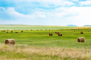 Tepelerin önündeki ovada saman