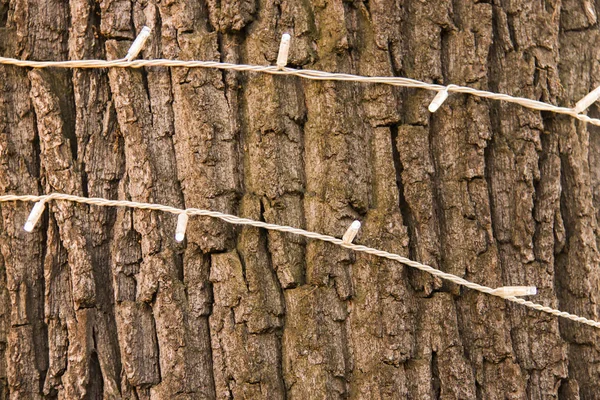 Luci Sull Albero — Foto Stock