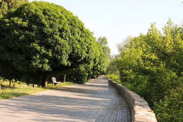  Parktaki yol