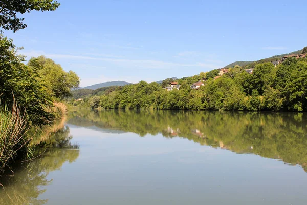 derin Forest Lake