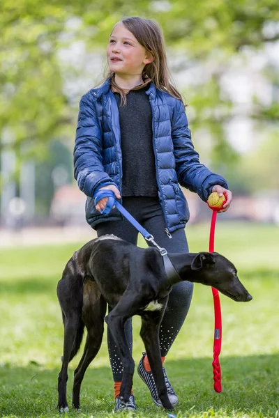 Девушка Своей Собакой Парке Выставке Собак — стоковое фото